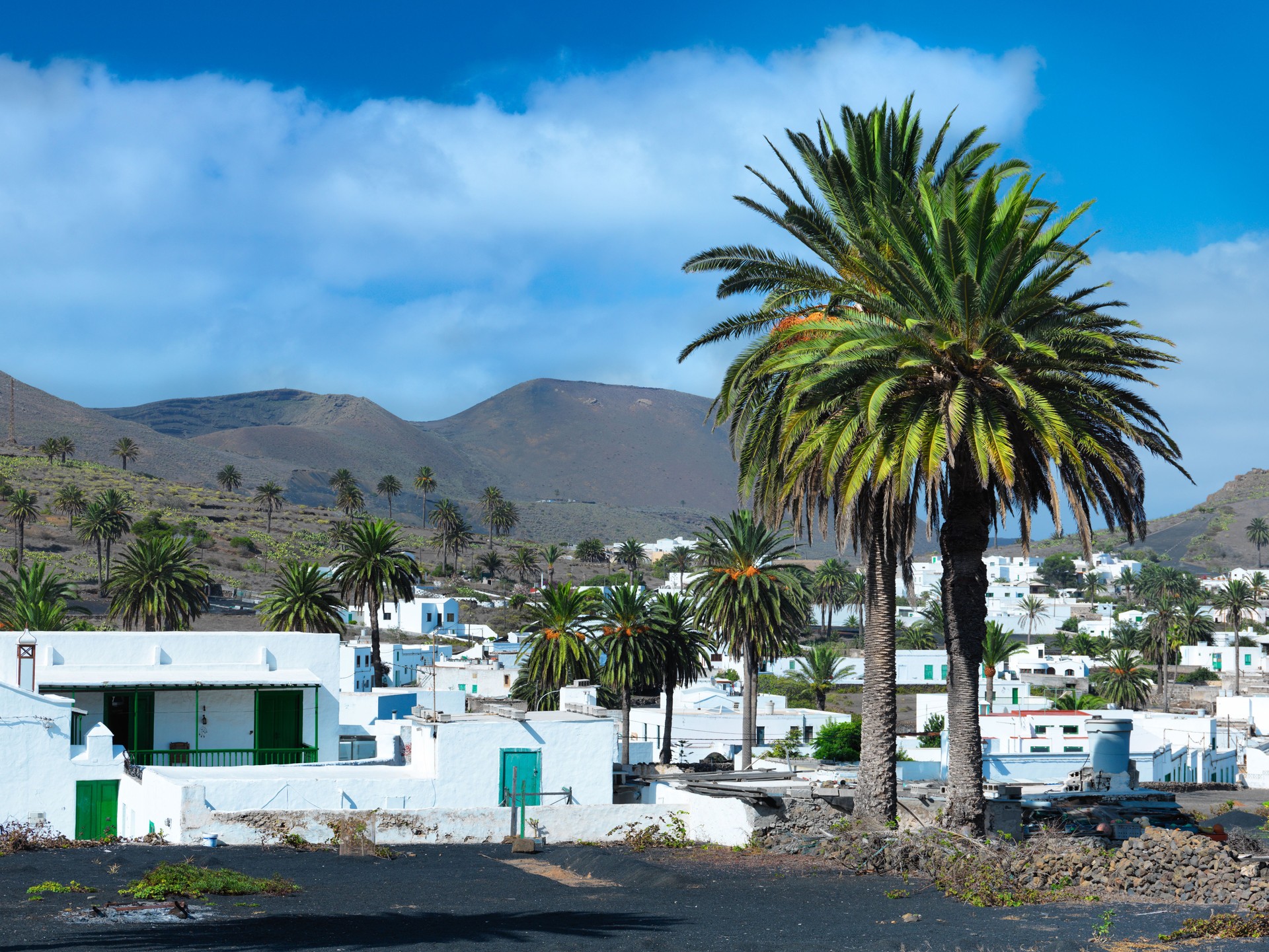 Haria, Lanzarote - the Valley of 1000 Palms